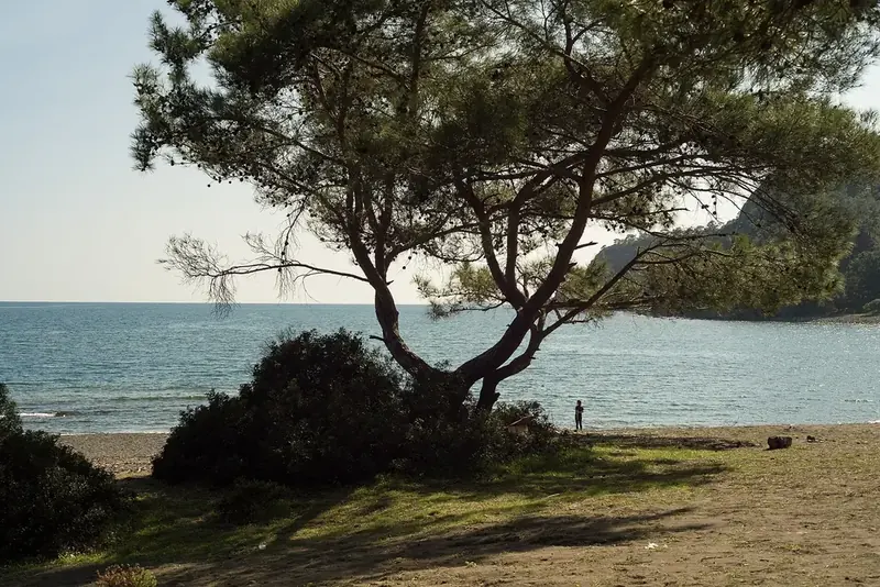 Phaselis Koyu'nda antik kent manzaralı berrak deniz – Kemer yat turu